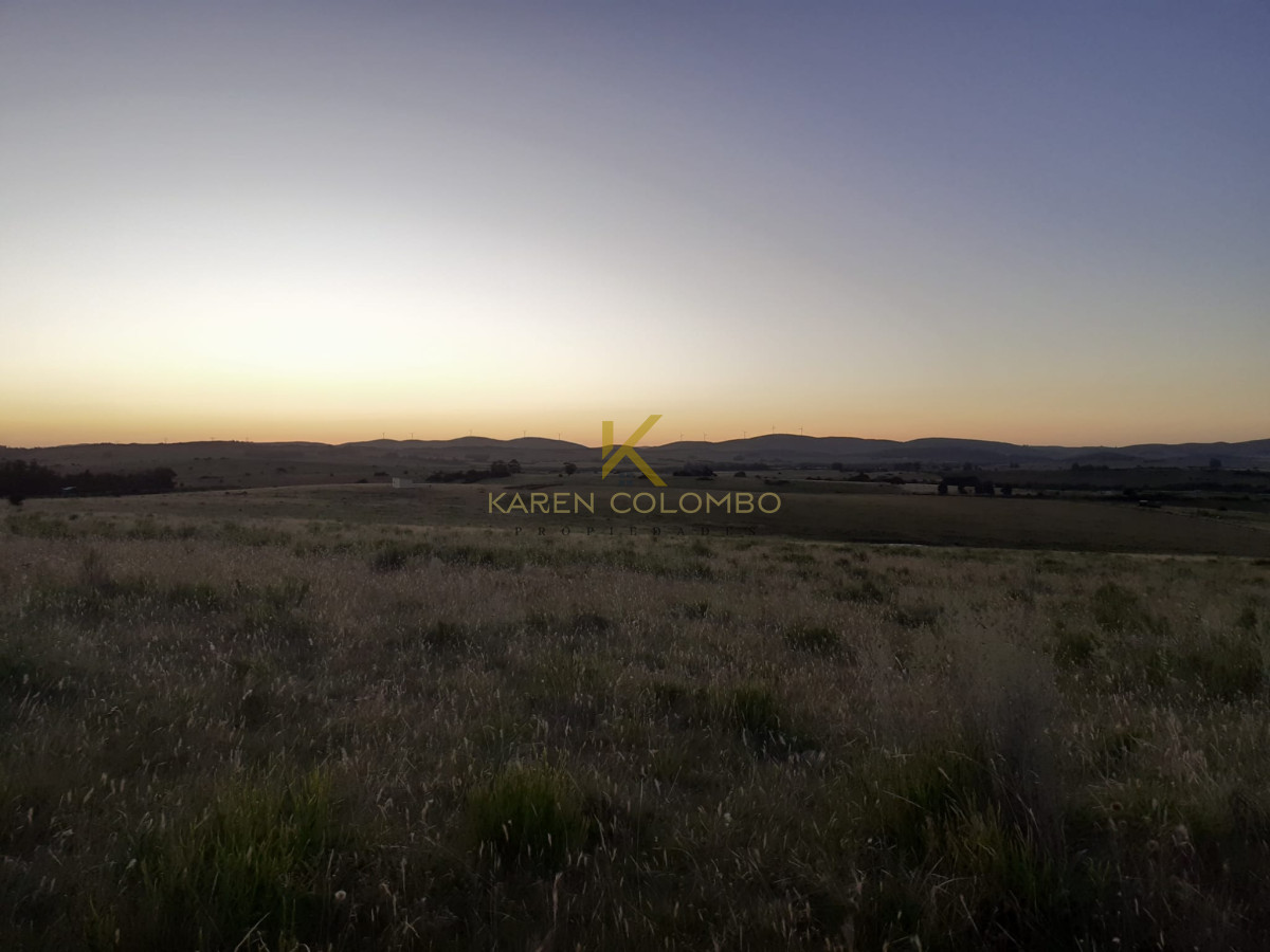 Chacra ID.21094409 - oportunidad chacras en maldonado ruta 39 km 38