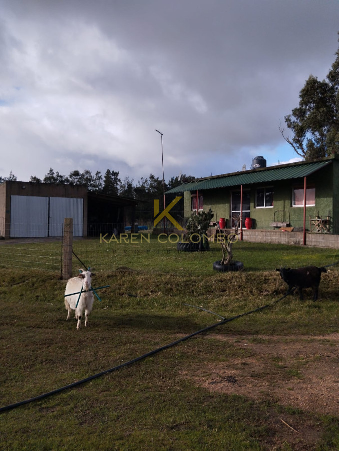 Chacra ID.21096674 - Chacra en venta en Ruta 39