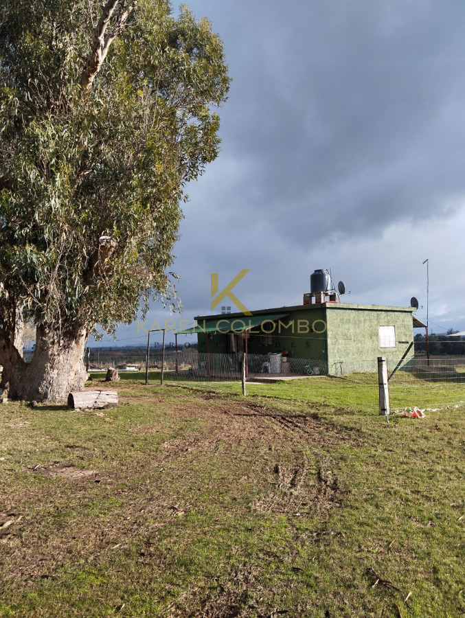 Chacra ID.21096674 - Chacra en venta en Ruta 39