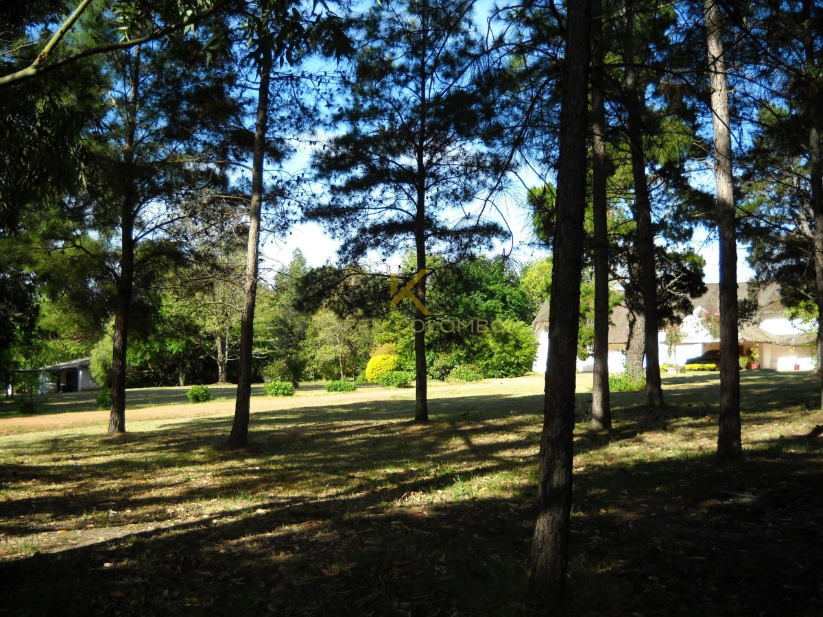 Chacra ID.21094569 - Chacra en venta, zona Laguna del Diario, Punta del Este