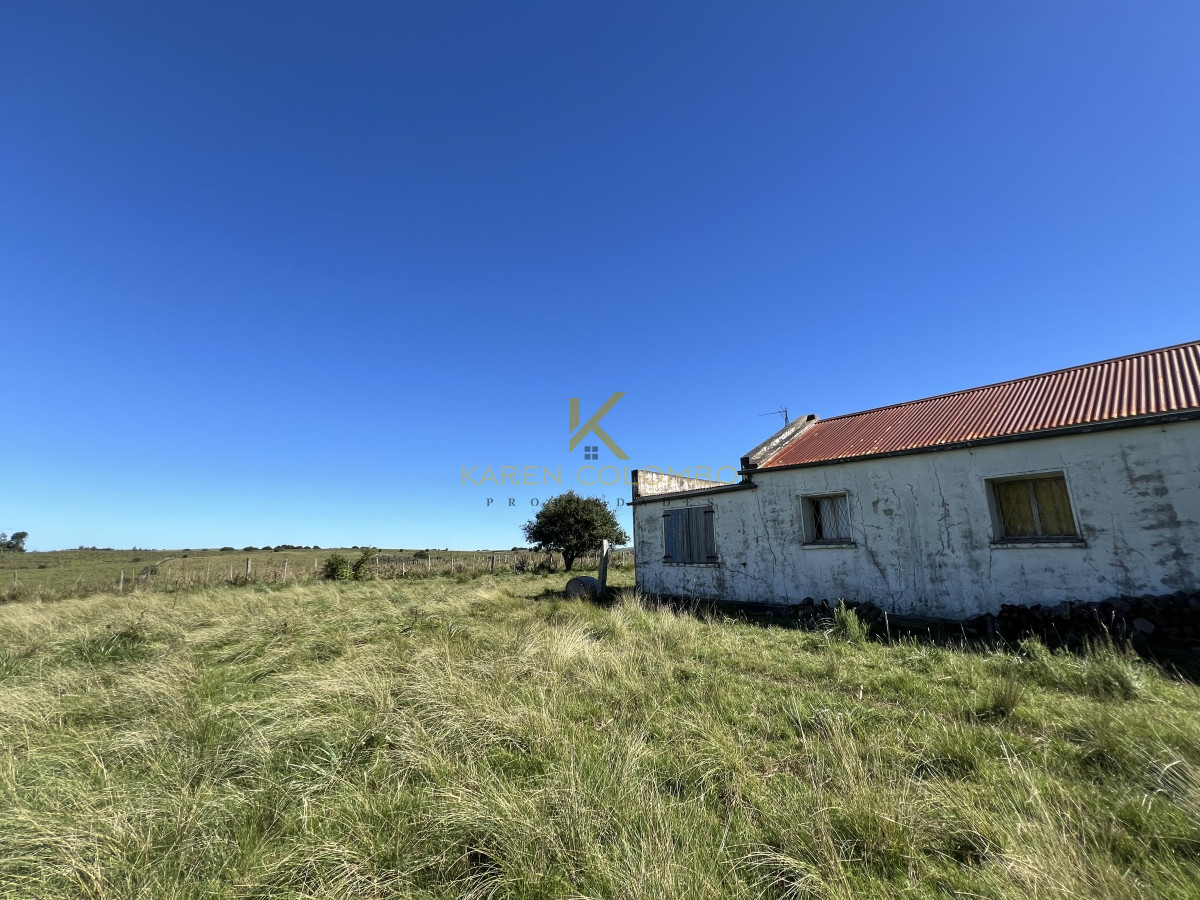 Chacra ID.21094509 - CHACRA DE 70 HAS EN 6TA. SECC. JUD. JOSÉ IGNACIO