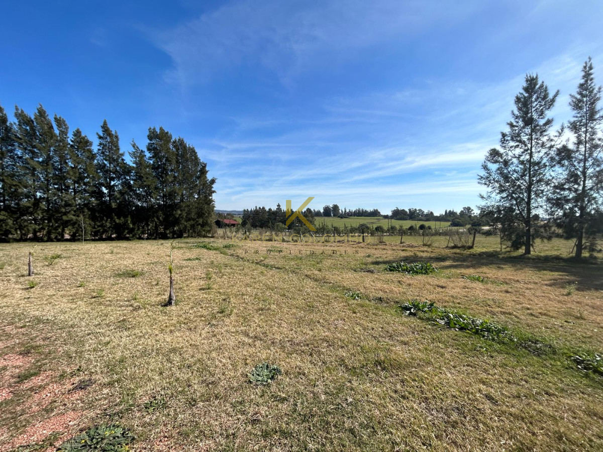 Ruta 39 - GoPunta - Portal Inmobiliario de Punta del Este - Maldonado