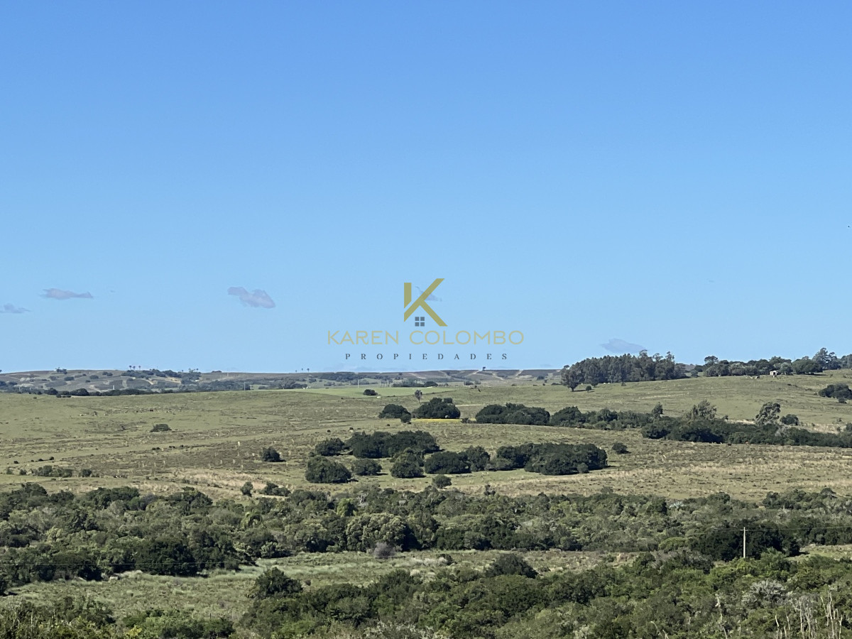 Chacra ID.21094509 - CHACRA DE 70 HAS EN 6TA. SECC. JUD. JOSÉ IGNACIO