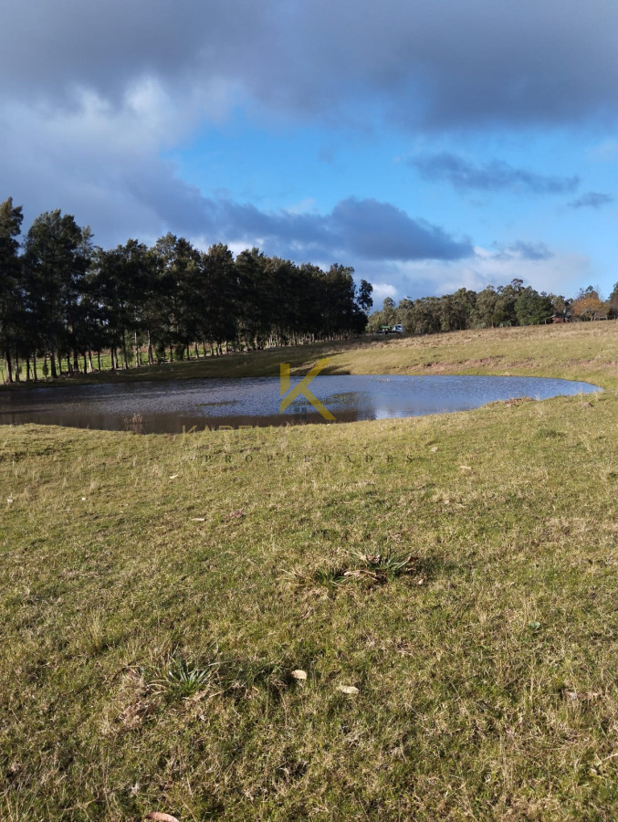 Chacra ID.21096674 - Chacra en venta en Ruta 39