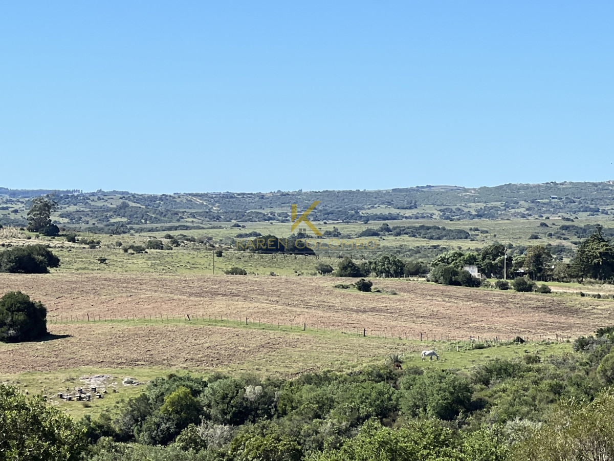 Chacra ID.21094509 - CHACRA DE 70 HAS EN 6TA. SECC. JUD. JOSÉ IGNACIO