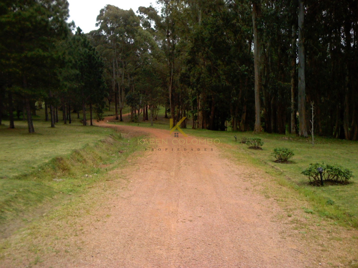 Chacra ID.21094569 - Chacra en venta, zona Laguna del Diario, Punta del Este