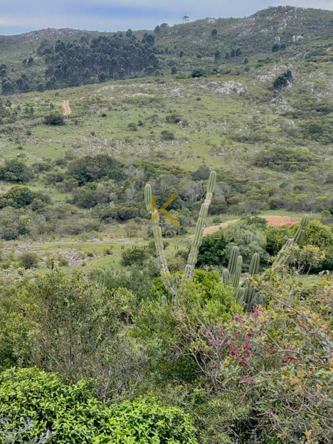 Campo Ref.21097198 - Espectacular Chacra en venta 