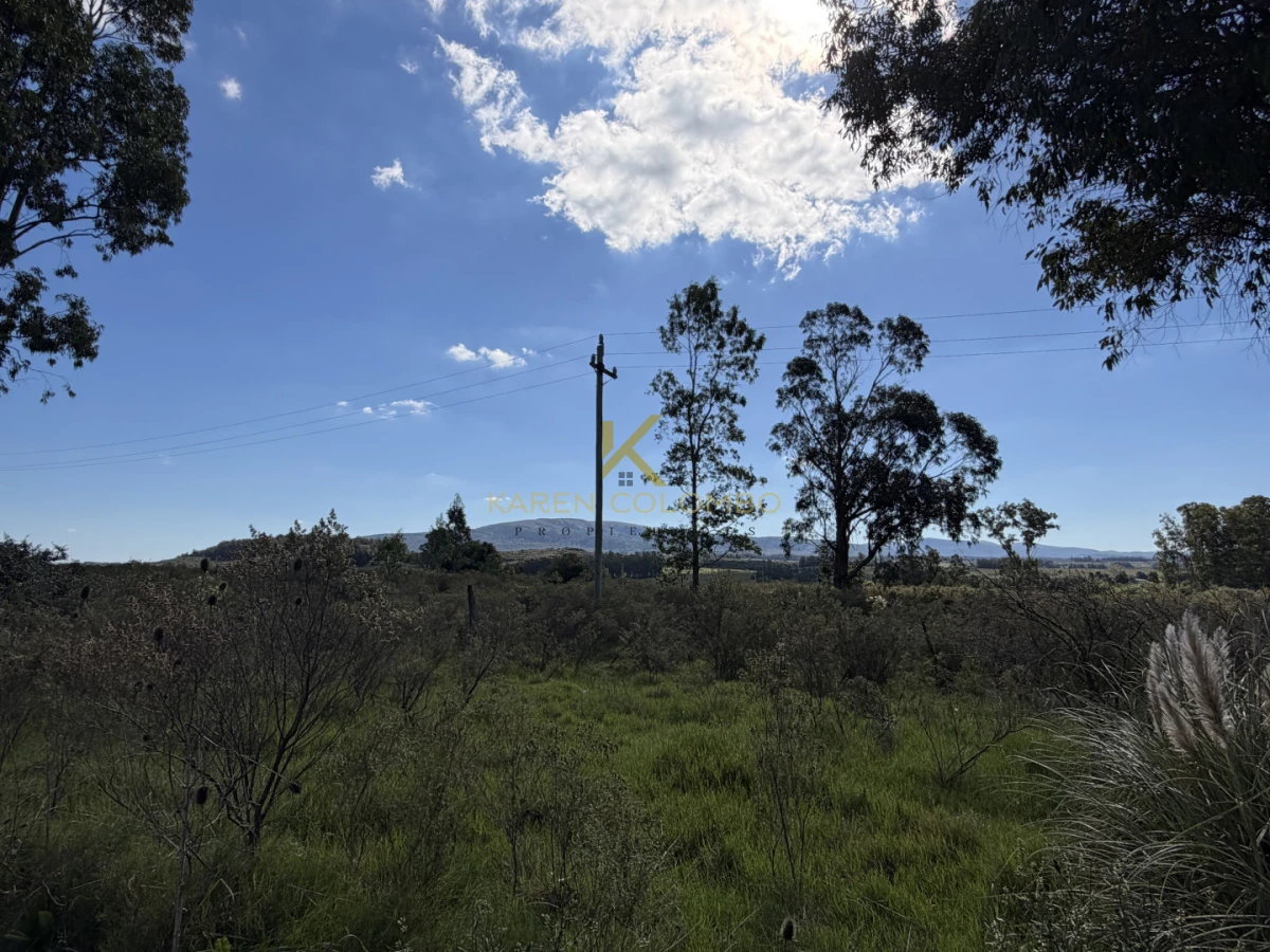 Campo Ref.21097277 - Campo en Venta en Maldonado