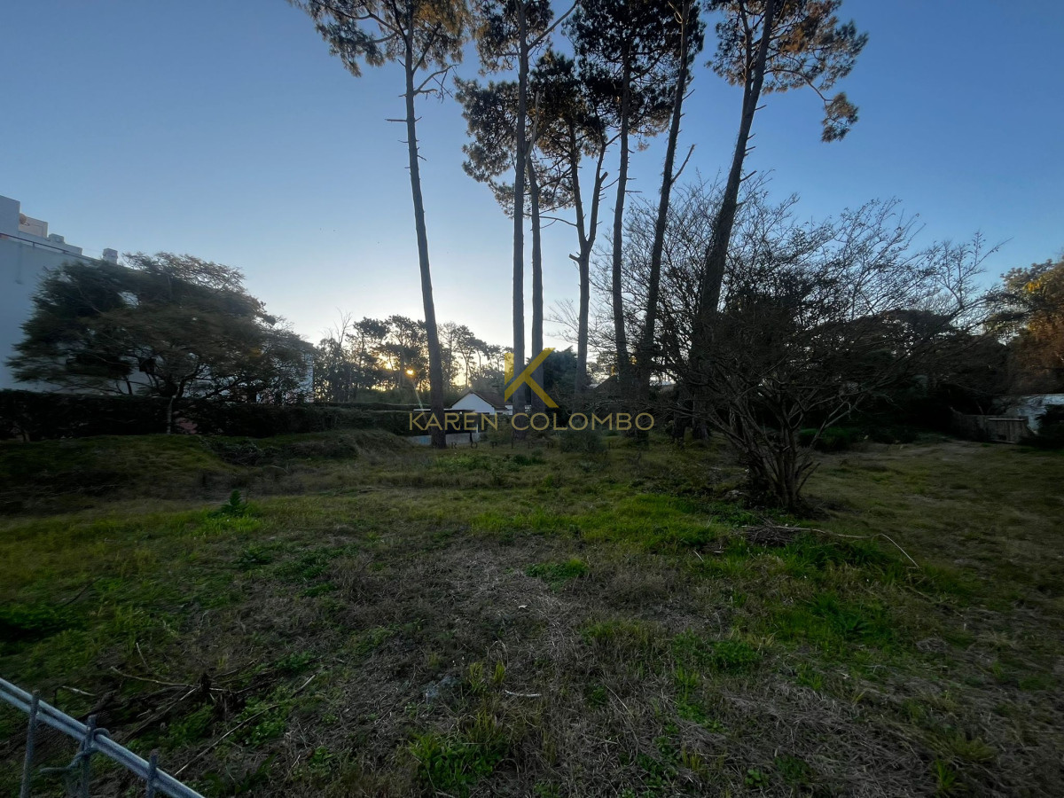 Rincón del Indio - GoPunta - Portal Inmobiliario de Punta del Este - Maldonado