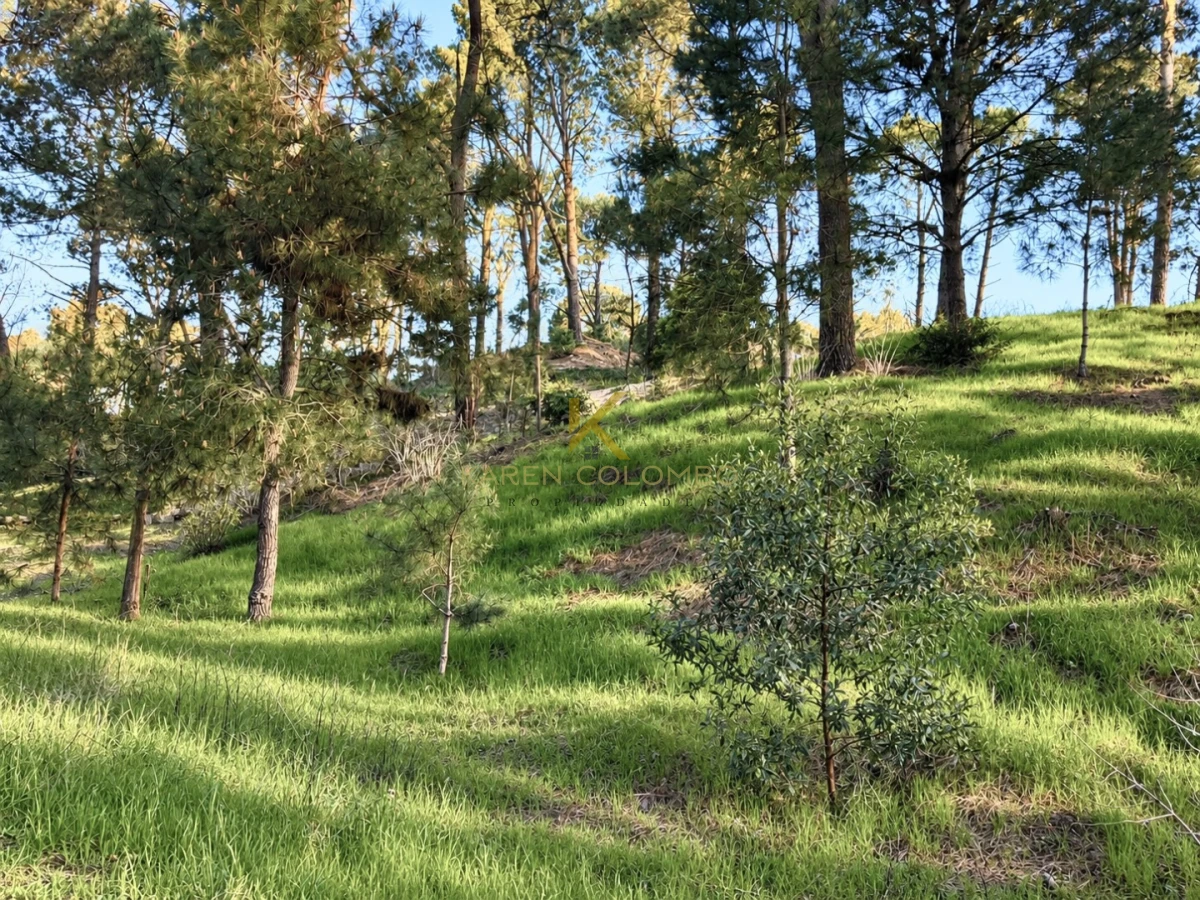 Terreno ID.21097897 - Oportunidad gran terreno en venta-Club del Lago