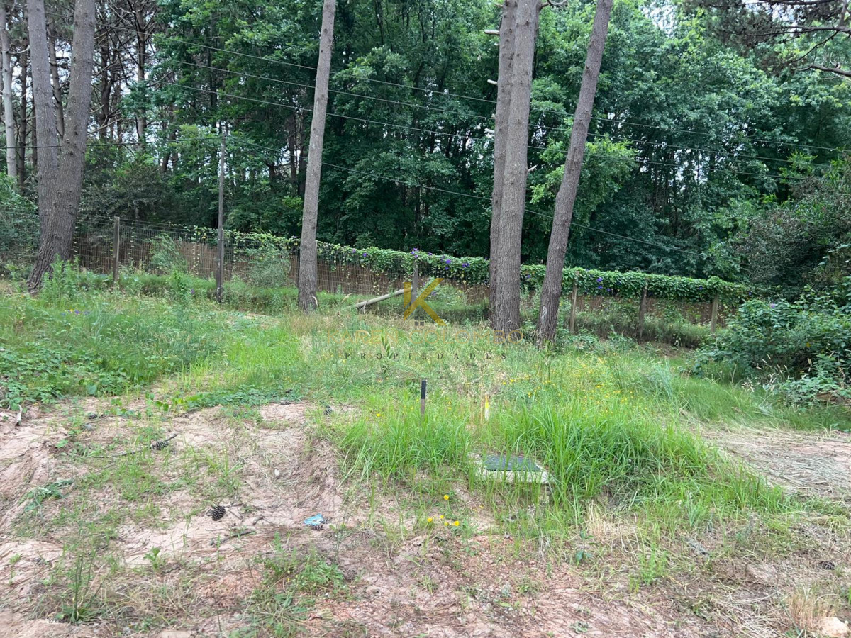 Terreno ID.21095586 - Terreno en La Barra, La Reserva 