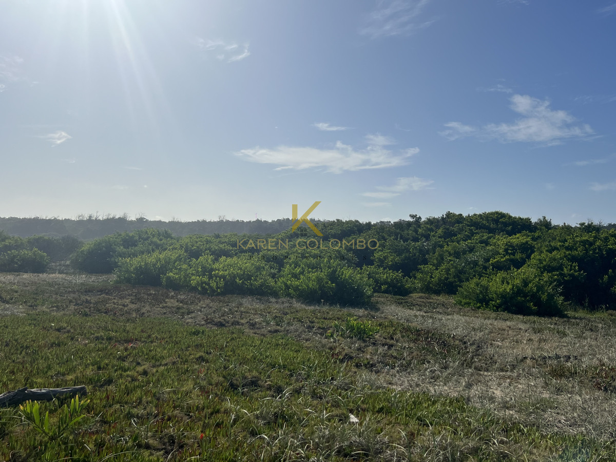 Terreno ID.21095198 - Terreno en venta primera linea Santa Monica