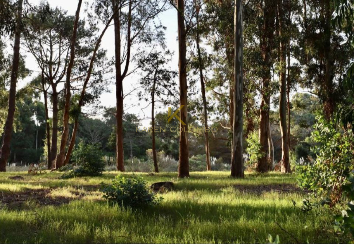 Terreno ID.21095586 - Terreno en La Barra, La Reserva 