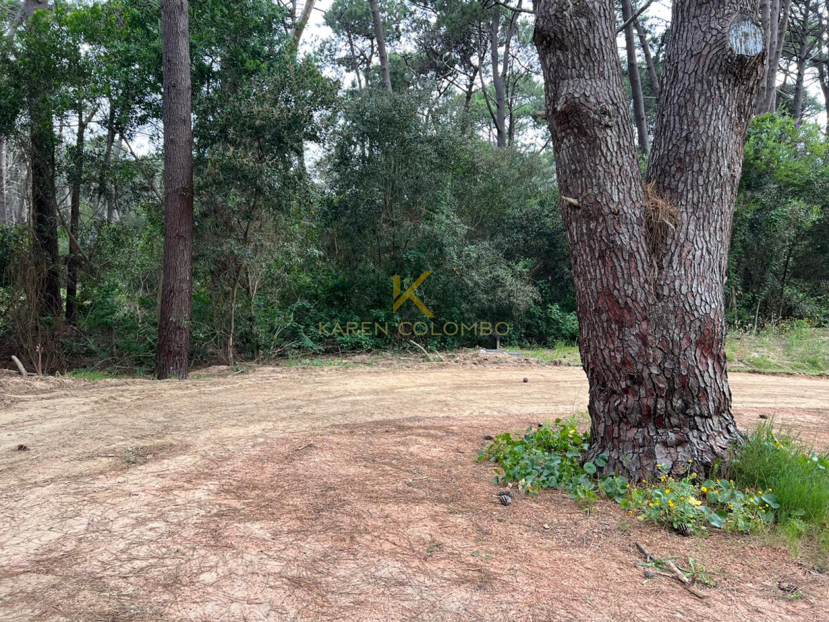 Terreno ID.21095586 - Terreno en La Barra, La Reserva 