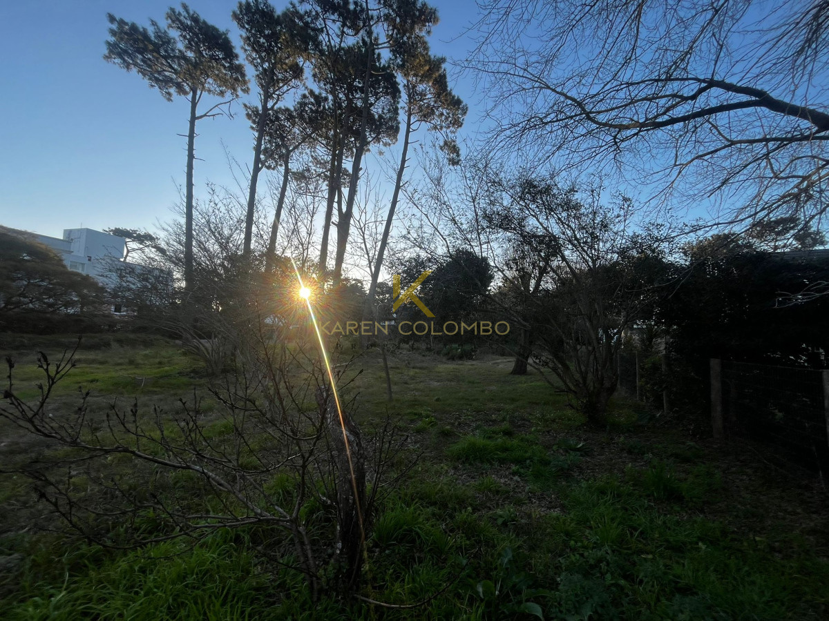 Rincón del Indio - GoPunta - Portal Inmobiliario de Punta del Este - Maldonado