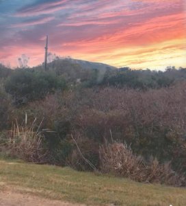 Terreno en venta Playa Hermosa, primera linea