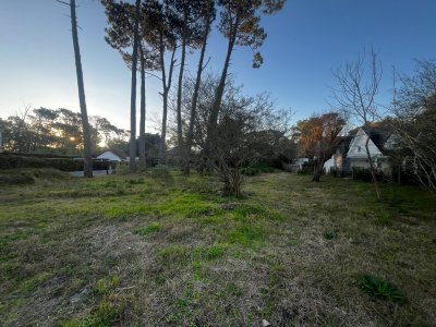 VENTA DE TERRENO EN RINCON DEL INDIO 