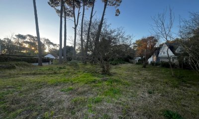 VENTA DE TERRENO EN RINCON DEL INDIO