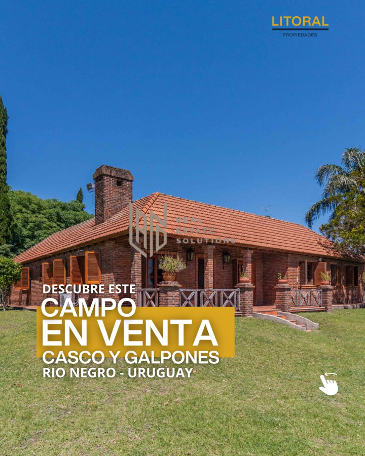 Campo Ref.62 - CAMPO EN VENTA - USD 1.180.000 | 60 Hecta?reas en Fray Bentos 