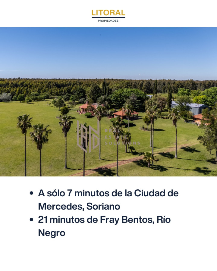 Campo Ref.62 - CAMPO EN VENTA - USD 1.180.000 | 60 Hecta?reas en Fray Bentos 