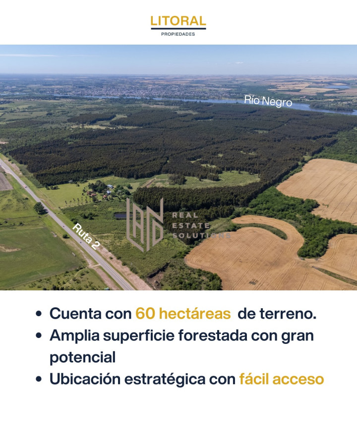 Campo Ref.62 - CAMPO EN VENTA - USD 1.180.000 | 60 Hecta?reas en Fray Bentos 