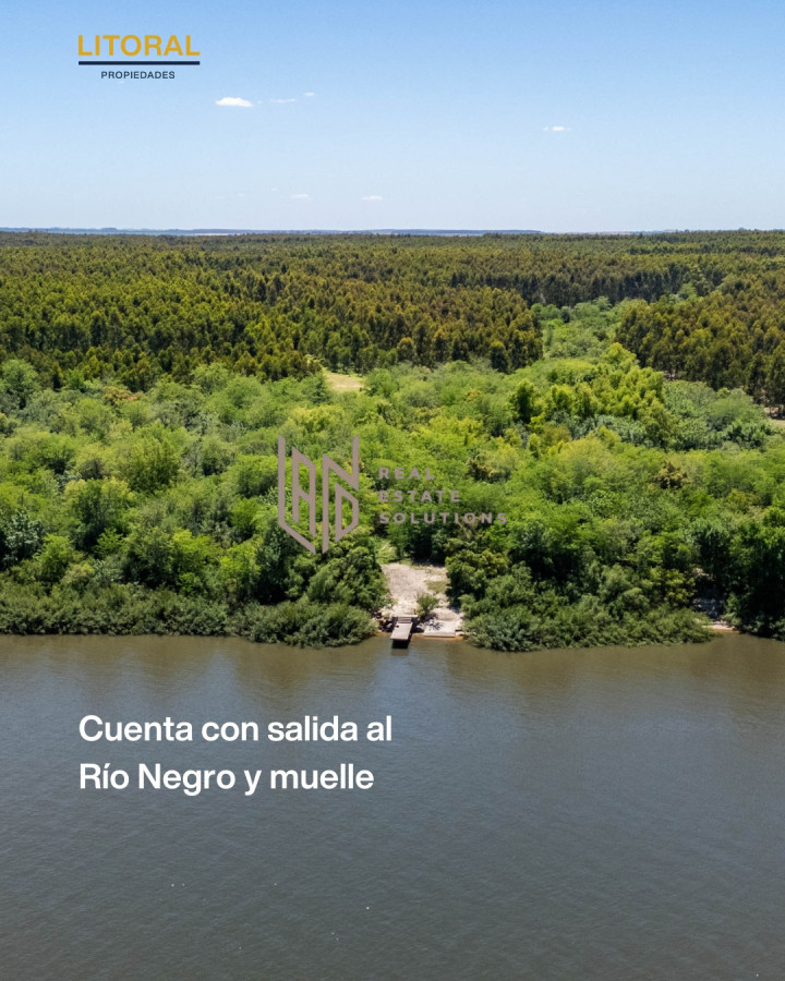 Campo Ref.62 - CAMPO EN VENTA - USD 1.180.000 | 60 Hecta?reas en Fray Bentos 