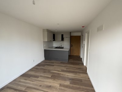 Apartamento ID.79 - ALQUILER 1 DORMITORIO EN POCITOS 