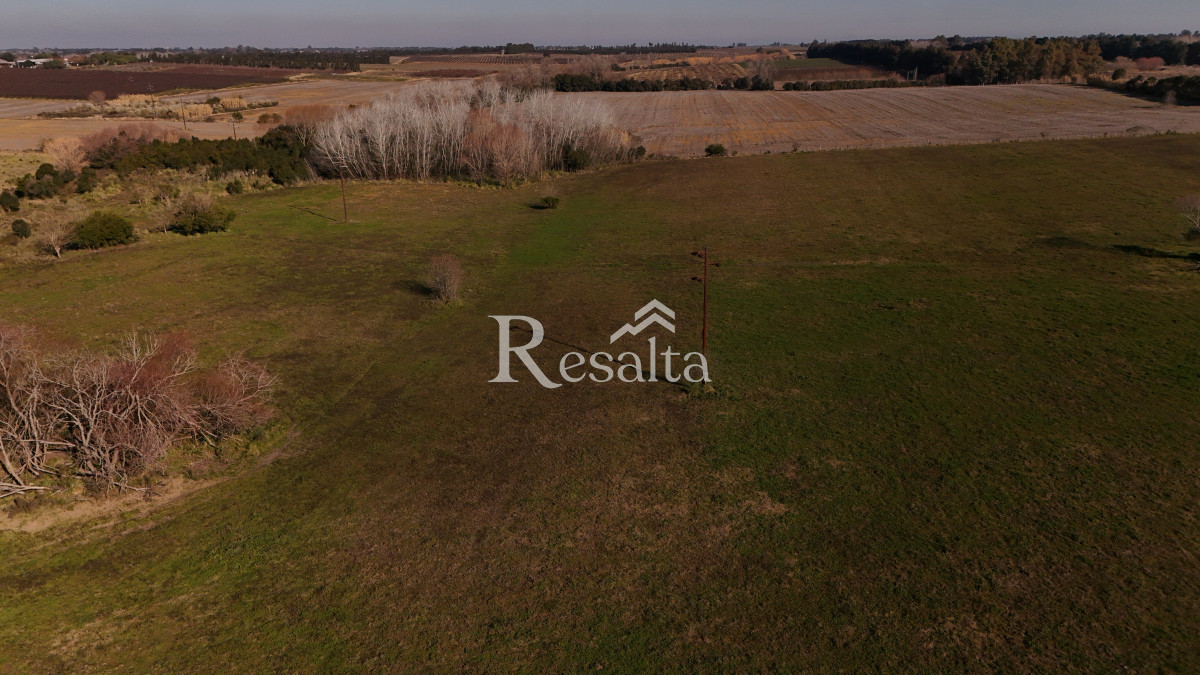 Campo Ref.103/VENTA-CAMPO-17HAS-JUANICO-IDEAL-LOGISTICA - VENTA CAMPO 17HAS JUANICO IDEAL LOGISTICA