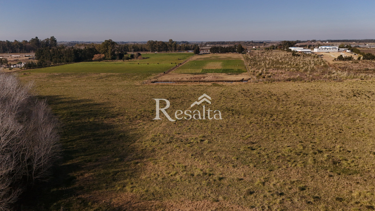 Campo Ref.103/VENTA-CAMPO-17HAS-JUANICO-IDEAL-LOGISTICA - VENTA CAMPO 17HAS JUANICO IDEAL LOGISTICA