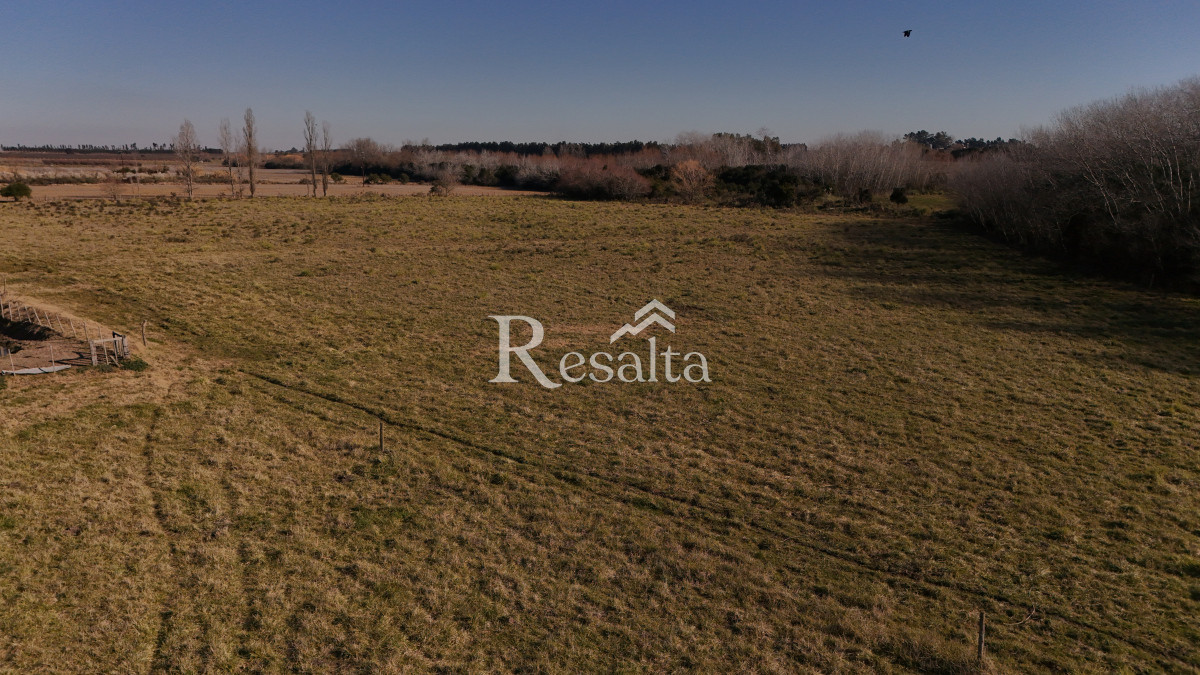 Campo Ref.103/VENTA-CAMPO-17HAS-JUANICO-IDEAL-LOGISTICA - VENTA CAMPO 17HAS JUANICO IDEAL LOGISTICA
