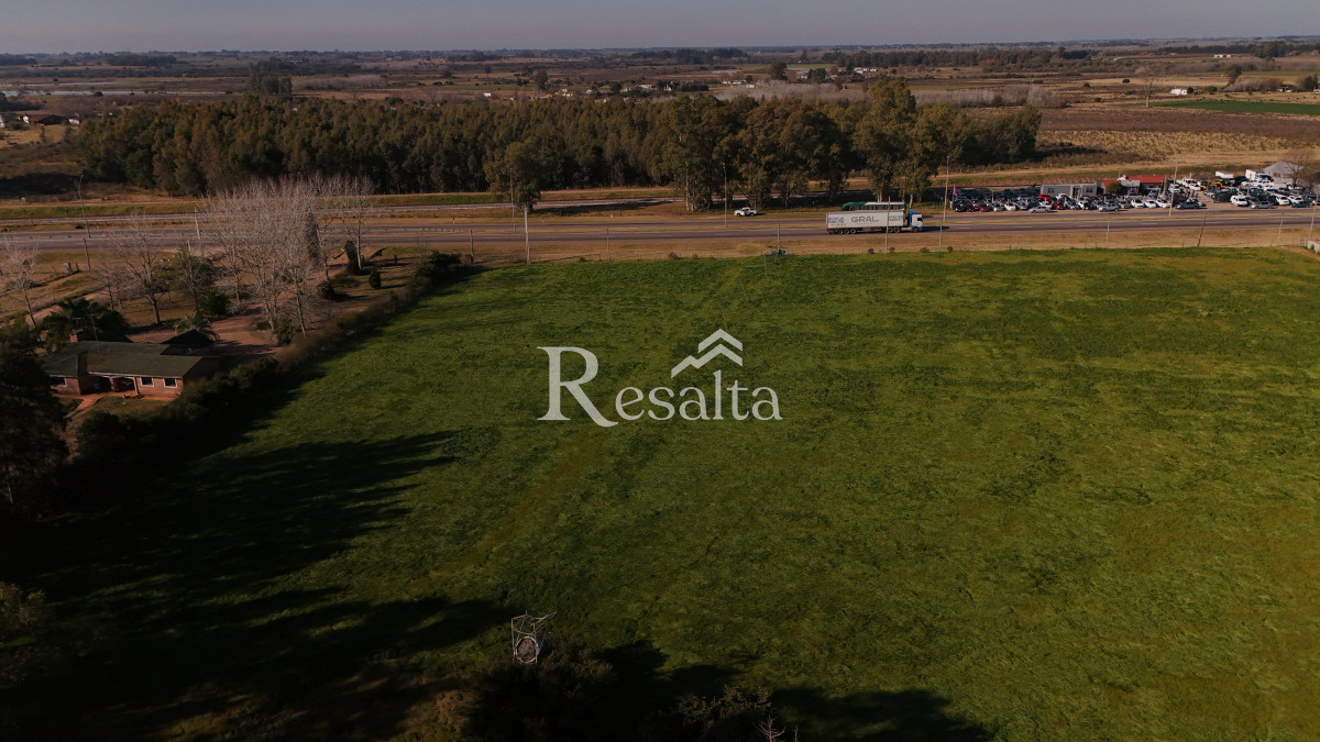 Campo Ref.103/VENTA-CAMPO-17HAS-JUANICO-IDEAL-LOGISTICA - VENTA CAMPO 17HAS JUANICO IDEAL LOGISTICA