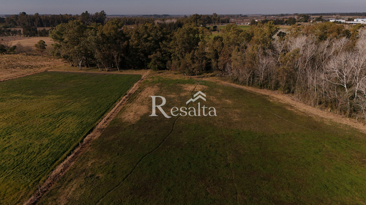 Campo Ref.103/VENTA-CAMPO-17HAS-JUANICO-IDEAL-LOGISTICA - VENTA CAMPO 17HAS JUANICO IDEAL LOGISTICA