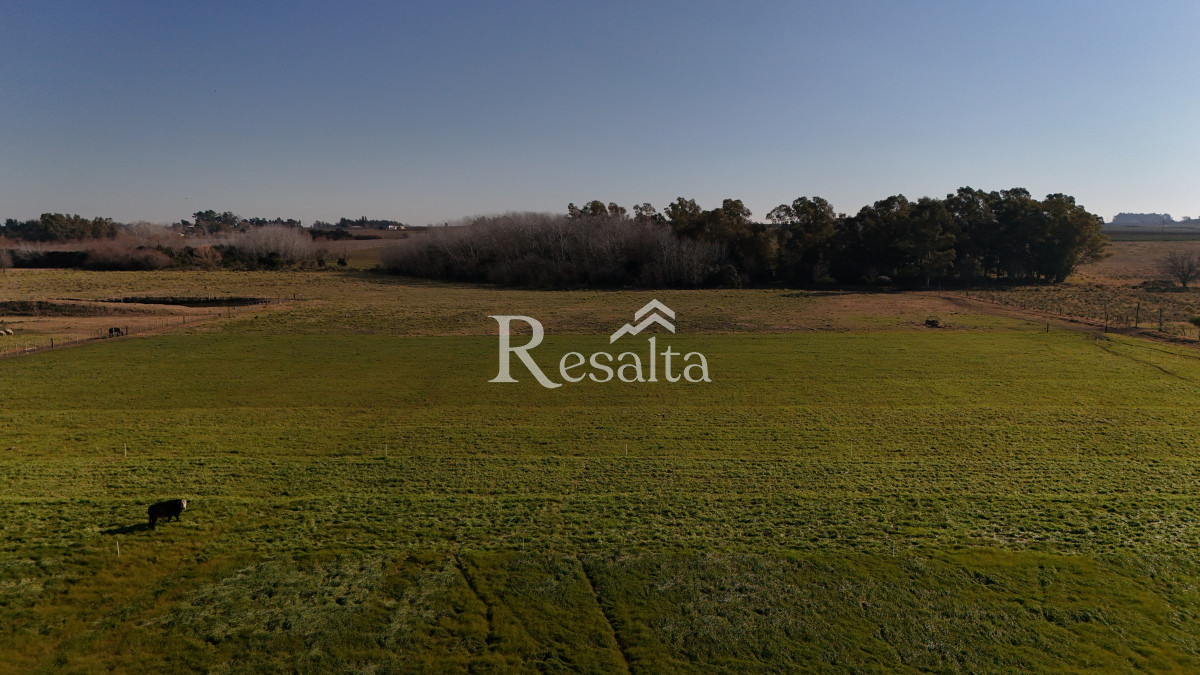 Campo Ref.103/VENTA-CAMPO-17HAS-JUANICO-IDEAL-LOGISTICA - VENTA CAMPO 17HAS JUANICO IDEAL LOGISTICA