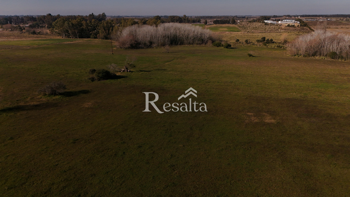 Campo Ref.103/VENTA-CAMPO-17HAS-JUANICO-IDEAL-LOGISTICA - VENTA CAMPO 17HAS JUANICO IDEAL LOGISTICA