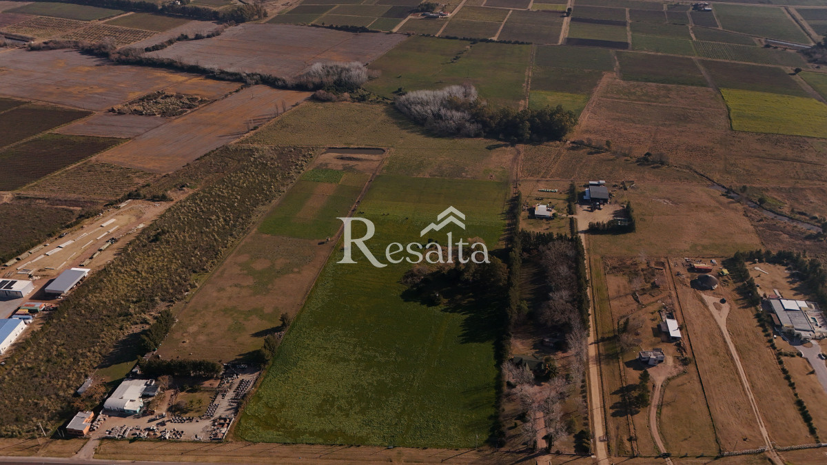 Campo Ref.103/VENTA-CAMPO-17HAS-JUANICO-IDEAL-LOGISTICA - VENTA CAMPO 17HAS JUANICO IDEAL LOGISTICA