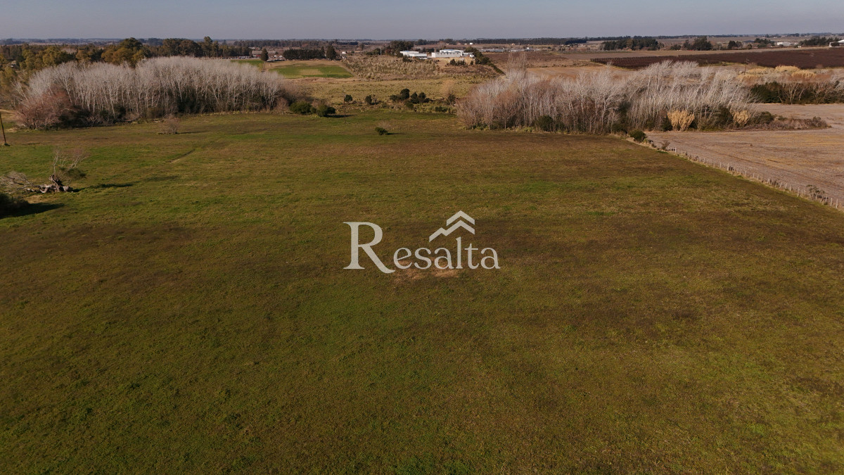 Campo Ref.103/VENTA-CAMPO-17HAS-JUANICO-IDEAL-LOGISTICA - VENTA CAMPO 17HAS JUANICO IDEAL LOGISTICA