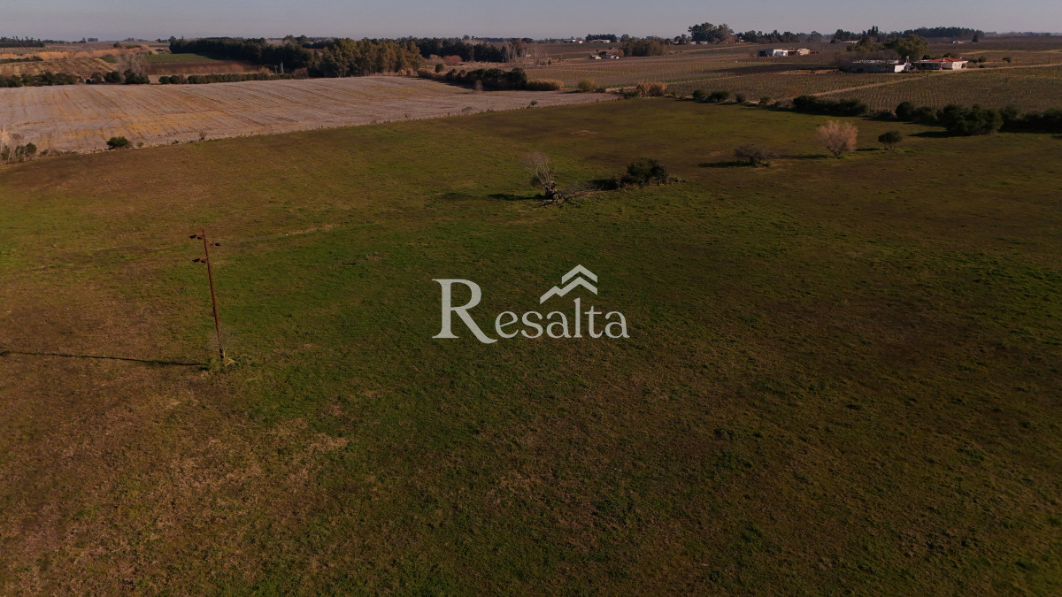 Campo Ref.103/VENTA-CAMPO-17HAS-JUANICO-IDEAL-LOGISTICA - VENTA CAMPO 17HAS JUANICO IDEAL LOGISTICA