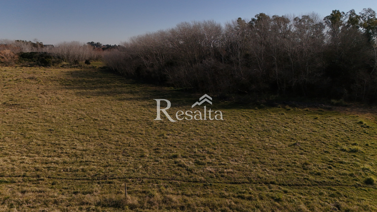 Campo Ref.103/VENTA-CAMPO-17HAS-JUANICO-IDEAL-LOGISTICA - VENTA CAMPO 17HAS JUANICO IDEAL LOGISTICA
