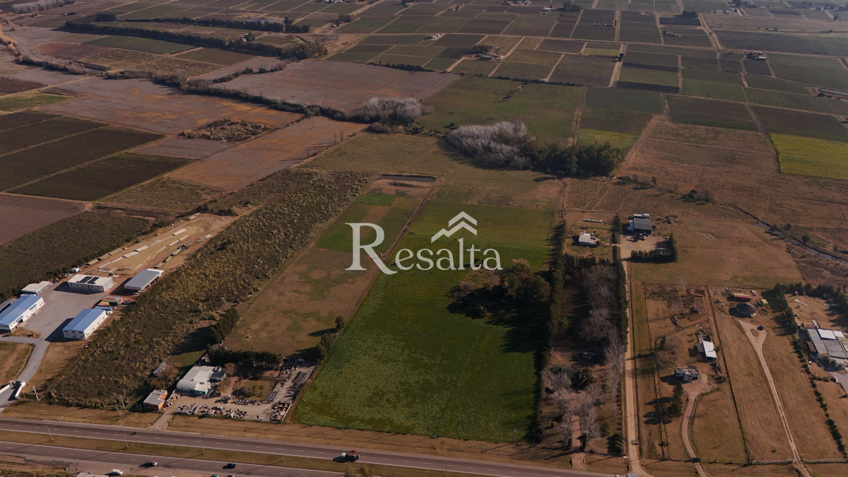 Campo Ref.103/VENTA-CAMPO-17HAS-JUANICO-IDEAL-LOGISTICA - VENTA CAMPO 17HAS JUANICO IDEAL LOGISTICA