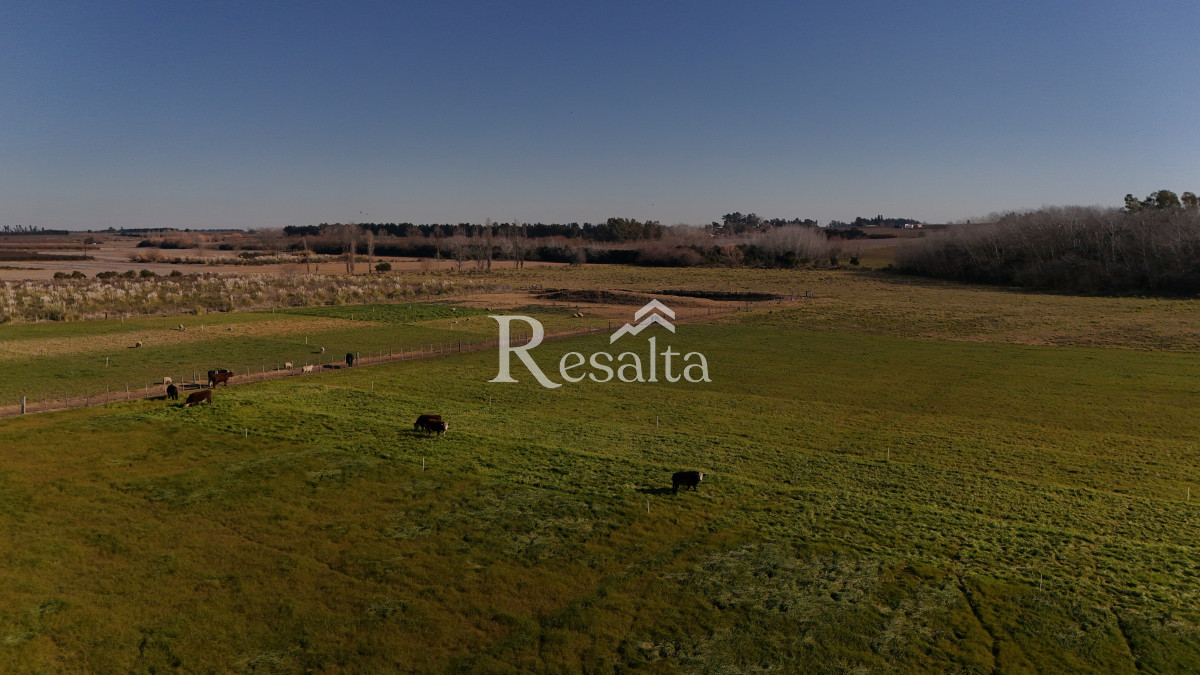 Campo Ref.103/VENTA-CAMPO-17HAS-JUANICO-IDEAL-LOGISTICA - VENTA CAMPO 17HAS JUANICO IDEAL LOGISTICA