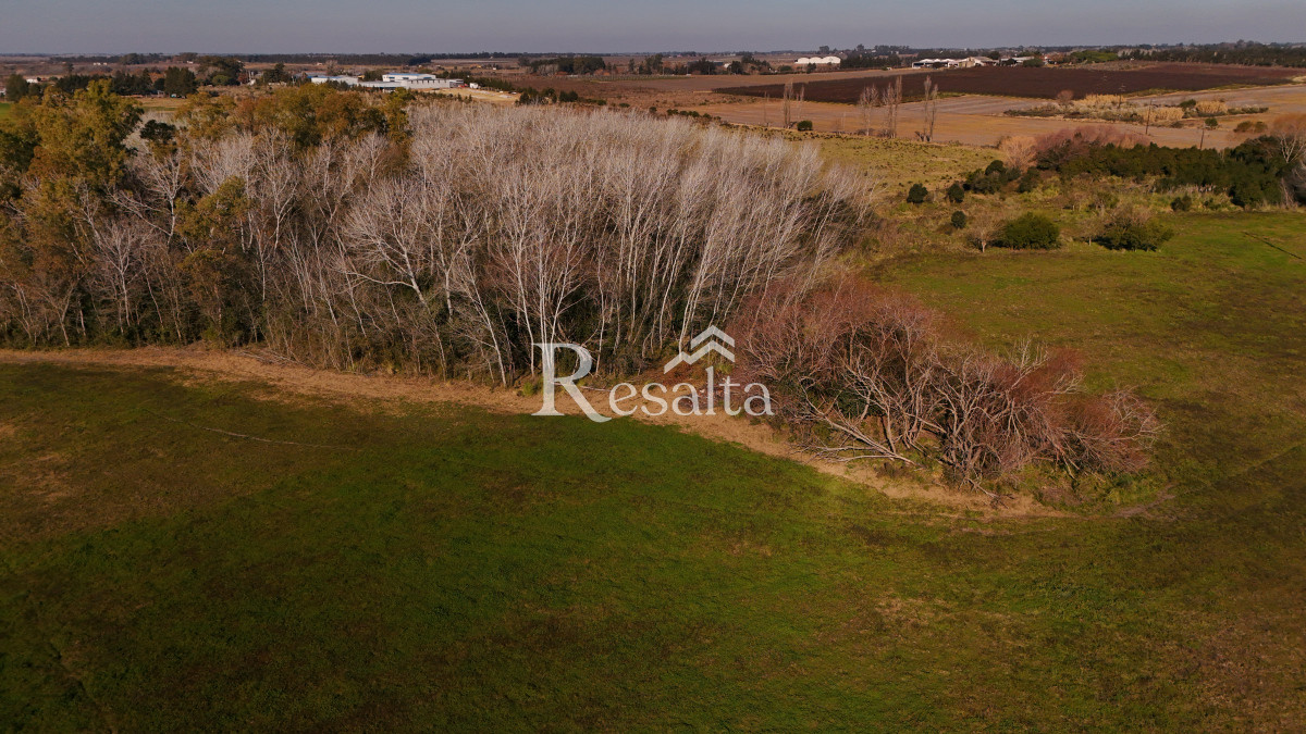 Campo Ref.103/VENTA-CAMPO-17HAS-JUANICO-IDEAL-LOGISTICA - VENTA CAMPO 17HAS JUANICO IDEAL LOGISTICA