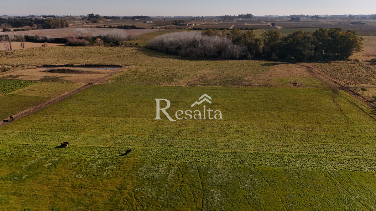 Campo Ref.103/VENTA-CAMPO-17HAS-JUANICO-IDEAL-LOGISTICA - VENTA CAMPO 17HAS JUANICO IDEAL LOGISTICA