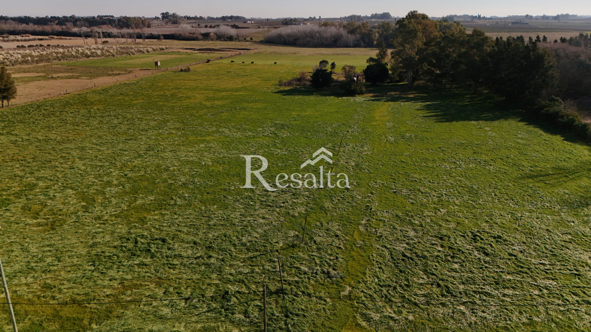 Campo Ref.103/VENTA-CAMPO-17HAS-JUANICO-IDEAL-LOGISTICA - VENTA CAMPO 17HAS JUANICO IDEAL LOGISTICA