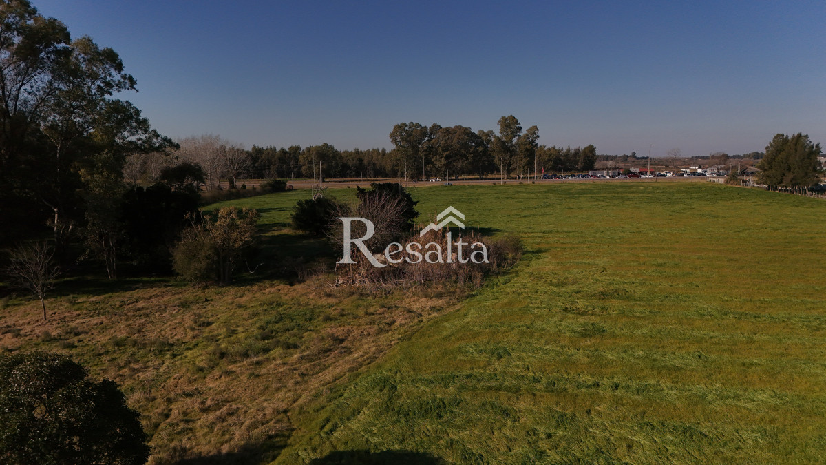Campo Ref.103/VENTA-CAMPO-17HAS-JUANICO-IDEAL-LOGISTICA - VENTA CAMPO 17HAS JUANICO IDEAL LOGISTICA