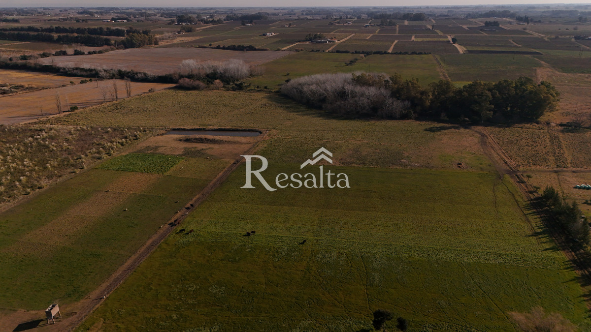 Campo Ref.103/VENTA-CAMPO-17HAS-JUANICO-IDEAL-LOGISTICA - VENTA CAMPO 17HAS JUANICO IDEAL LOGISTICA
