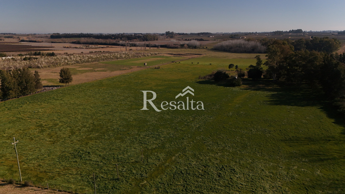 Campo Ref.103/VENTA-CAMPO-17HAS-JUANICO-IDEAL-LOGISTICA - VENTA CAMPO 17HAS JUANICO IDEAL LOGISTICA