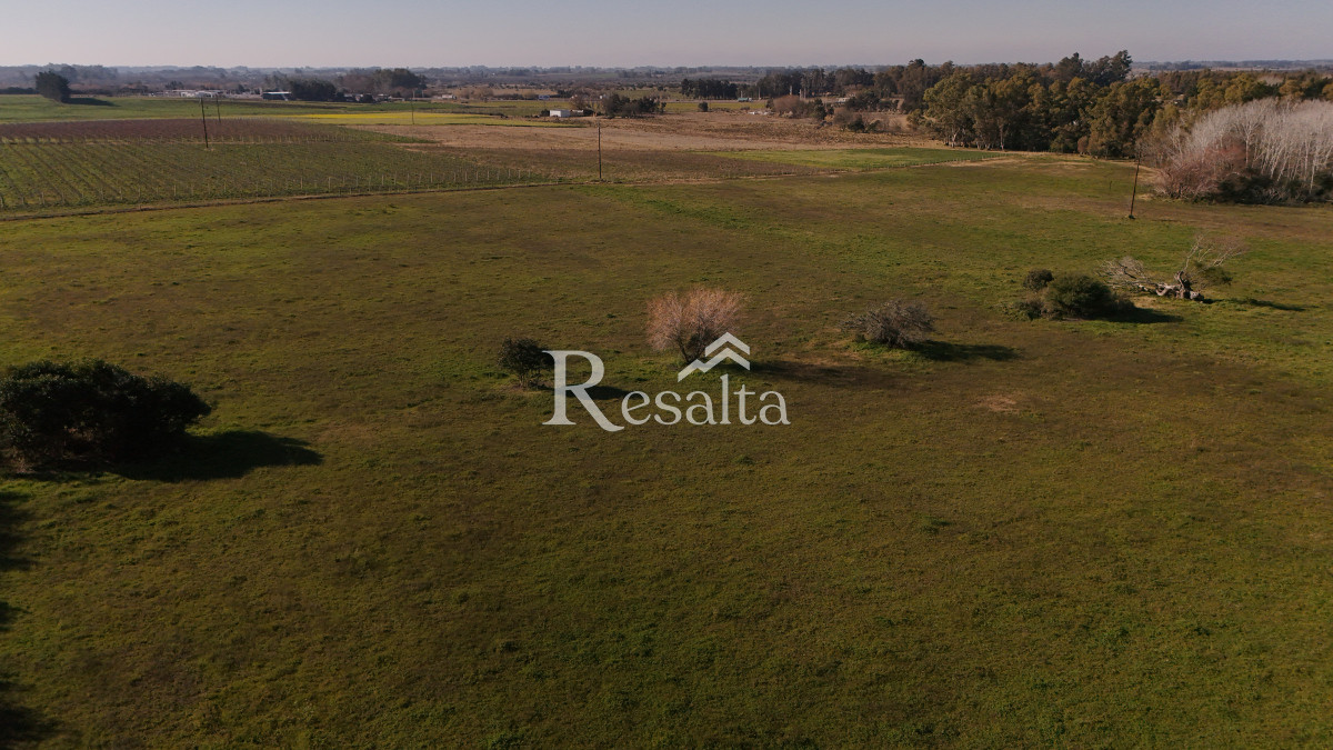Campo Ref.103/VENTA-CAMPO-17HAS-JUANICO-IDEAL-LOGISTICA - VENTA CAMPO 17HAS JUANICO IDEAL LOGISTICA