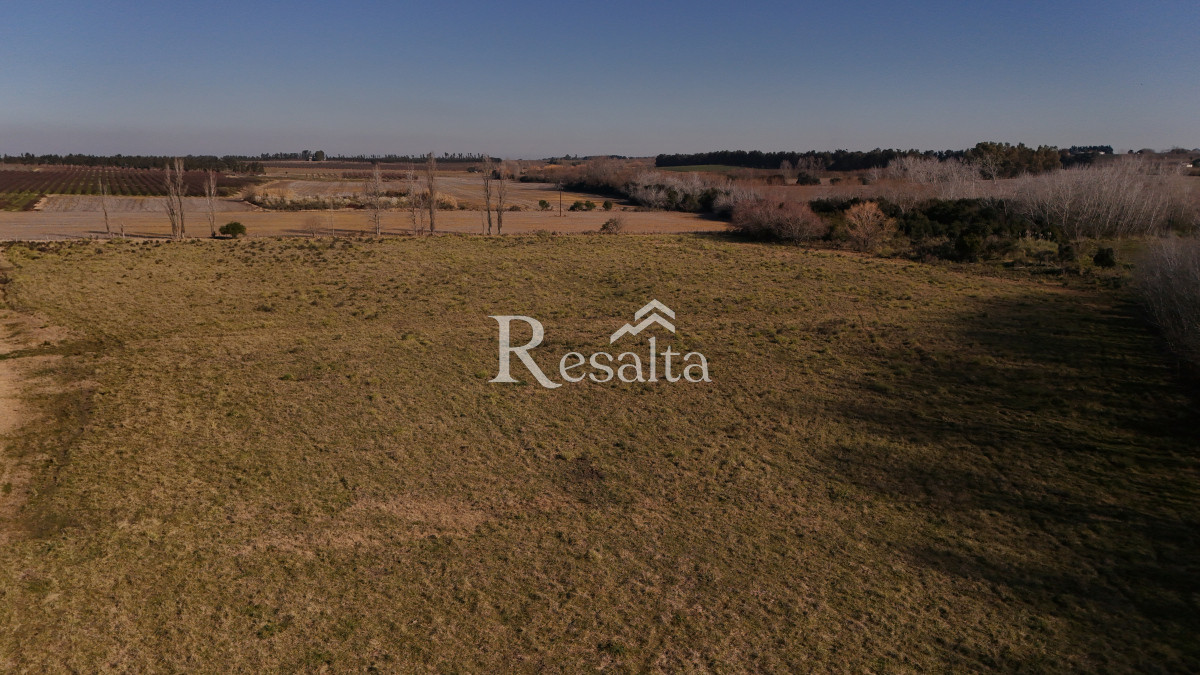 Campo Ref.103/VENTA-CAMPO-17HAS-JUANICO-IDEAL-LOGISTICA - VENTA CAMPO 17HAS JUANICO IDEAL LOGISTICA