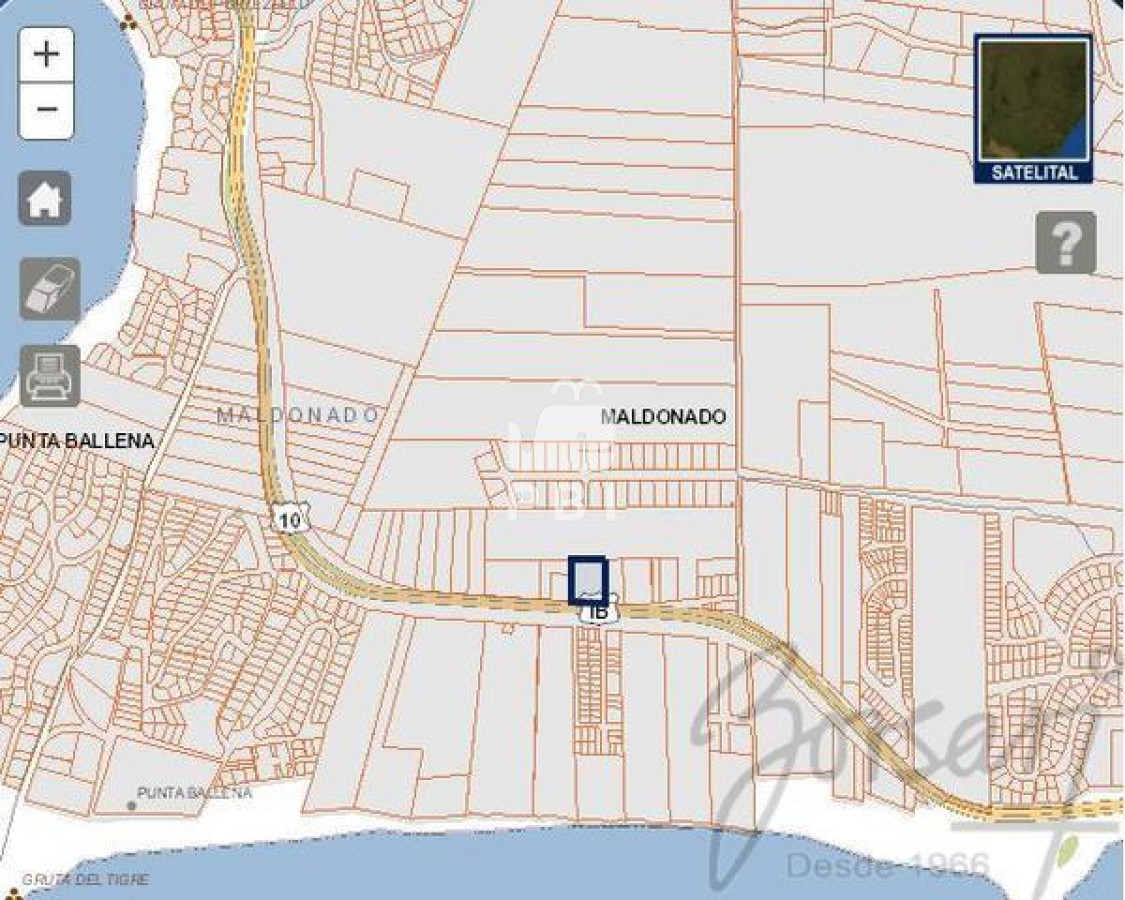 Terreno sobre Ruta 10, ideal para proyecto. Punta Ballena   Ref : PBI3215 - GoPunta - Portal Inmobiliario de Punta del Este - Maldonado