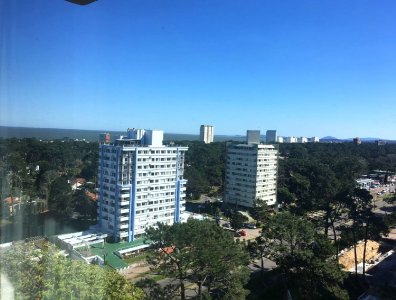 Amplio apto sobre Roosevelt, con excelente vista al bosque y a la Playa 